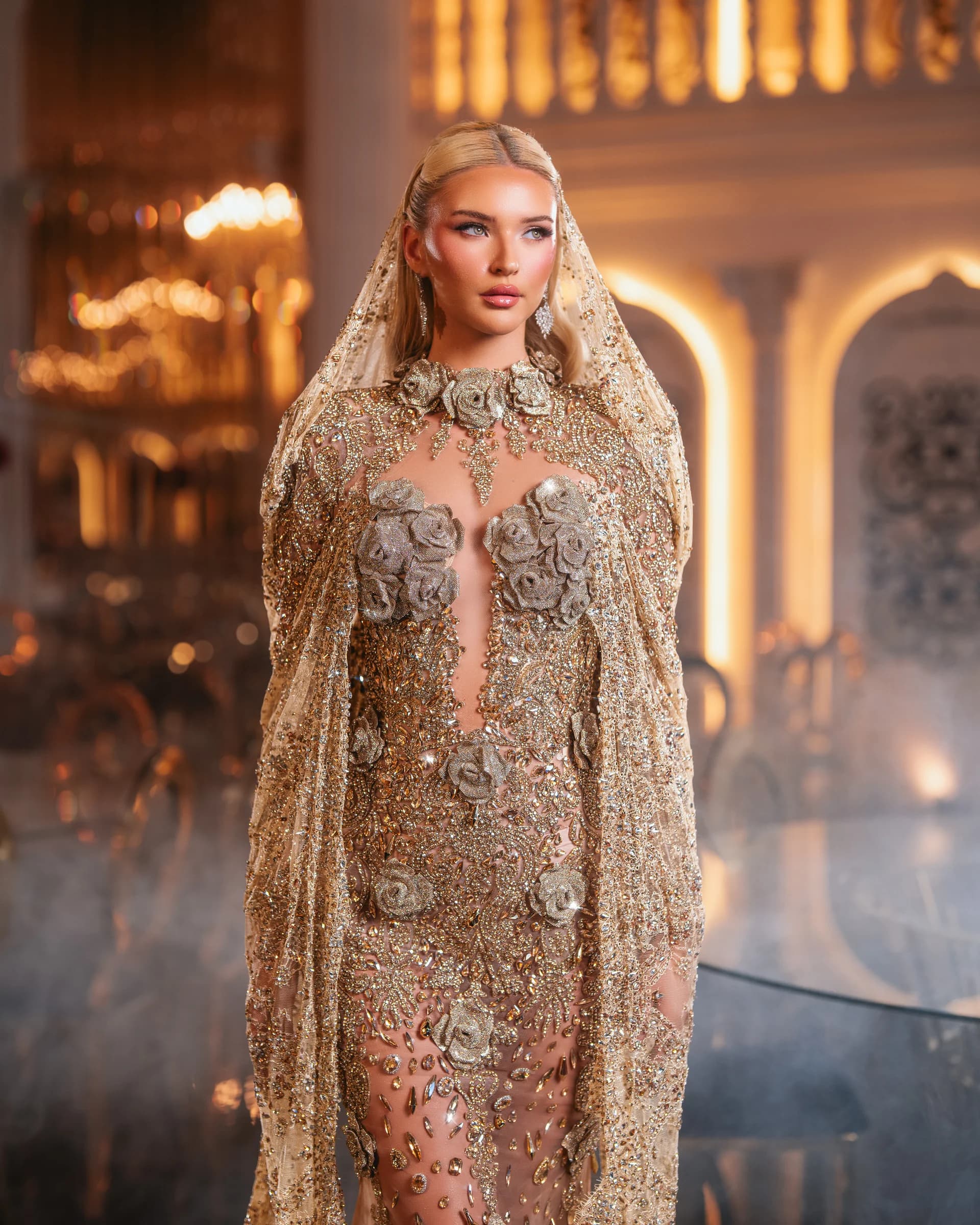 DAENERA - model