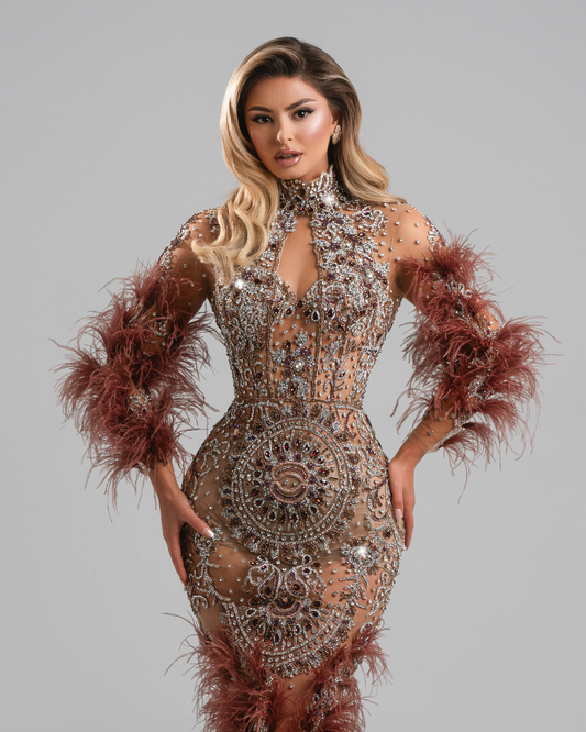 Aurle Long Dress with Feathers
