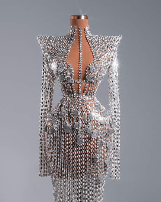 Delea Silver Long Dress with Crystals and Flowers