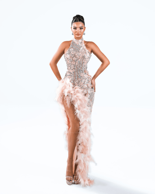 Elonore Pink Long Dress with Crystals and Feathers