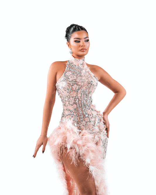 Elonore Pink Long Dress with Crystals and Feathers