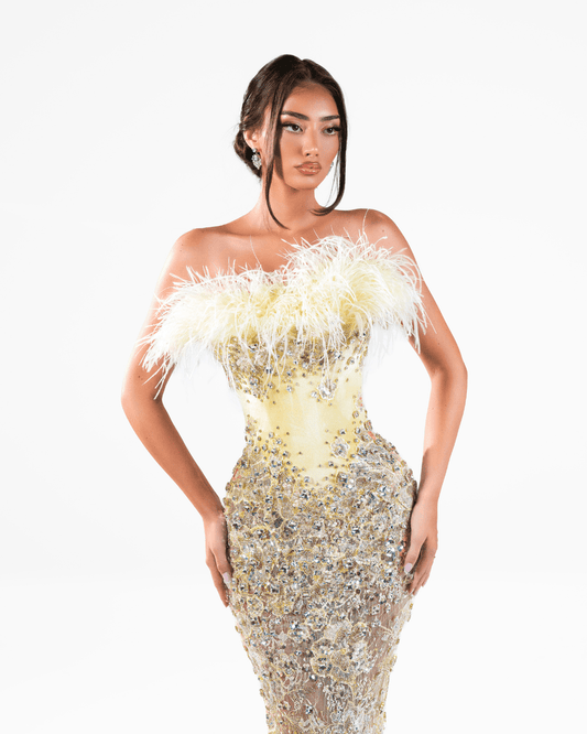 Janeya Yellow Long Dress with Crystals and Feathers