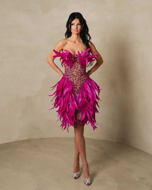 Kleosy Pink Midi Dress With Feathers And Crystals