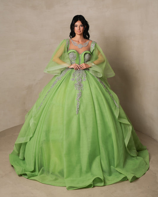 Nerida Light Green Ballgown with Silver Details