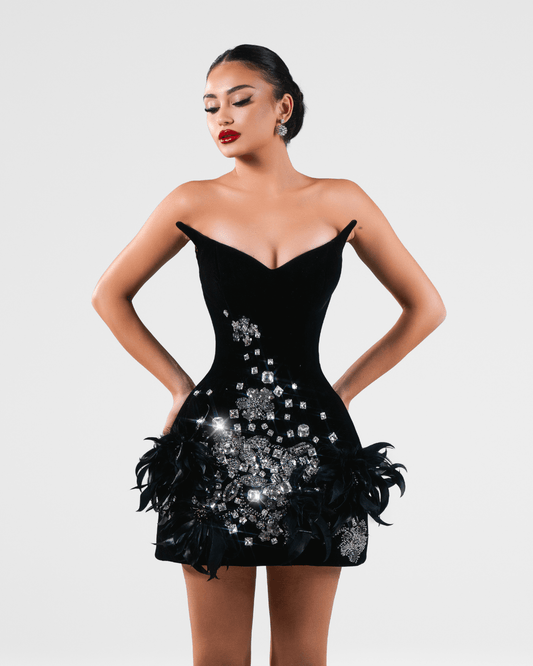 Olore Black Long Sleeveless Dress with Crystals and Feathers