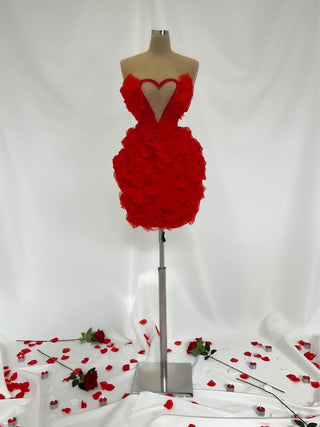 Amica Sleeveless Heart-Adorned Dress - Blini Fashion House