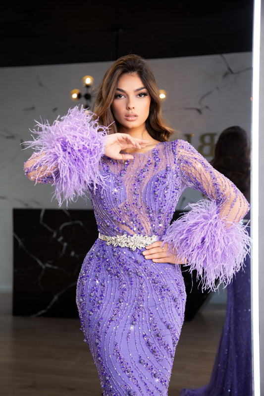 Arya Elegant Flashy Stone Formal Dress with Feather Embellishments - Blini Fashion House