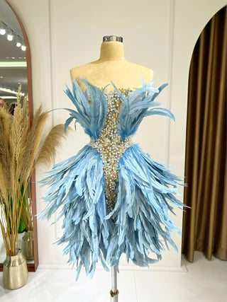 Eileene Feathers and Precious Stones Dress - Blini Fashion House