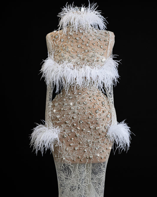 Galatea High-Neck Bridal Dress with Feather and Crystal Embellishments