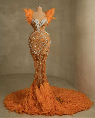 Exquisite Gown Decorated with Gemstones and Plumage