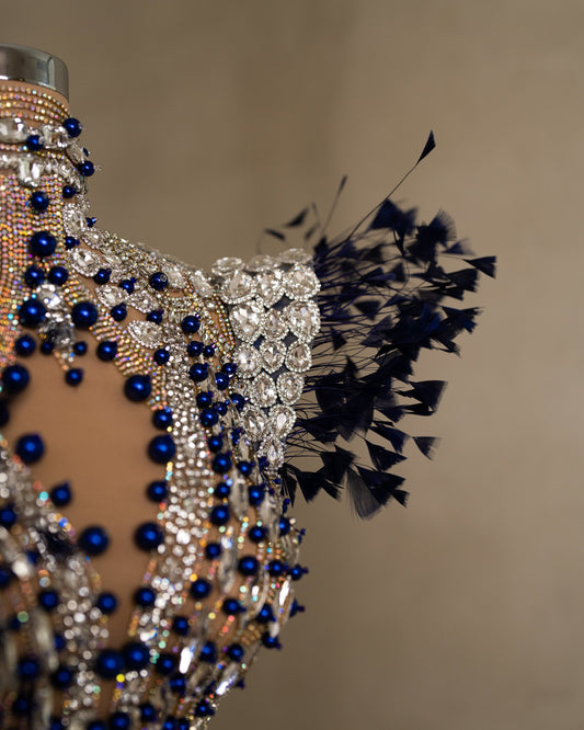 Chic Dress with High Neck, Stone, and Feather Embellishments