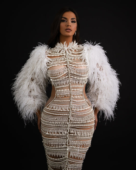 Silver Tassels Dress with cut-outs, stones, and feathers.