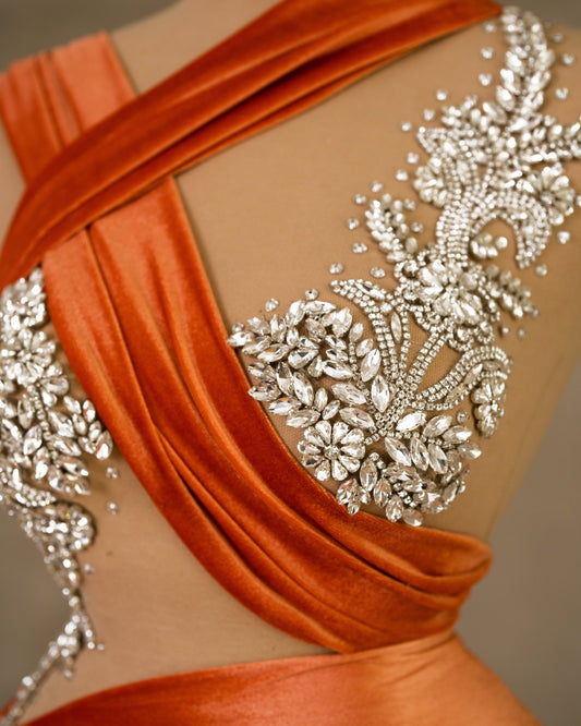 Silver Embellished Bodice of Velvet Dress