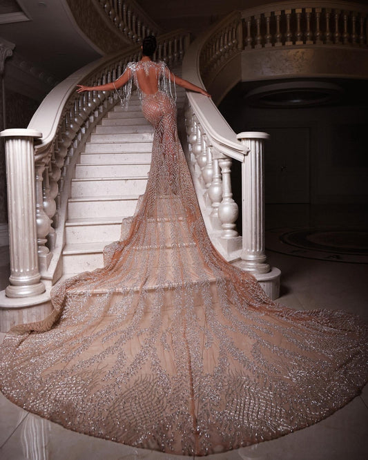 Silver Dress with Majestic Tail