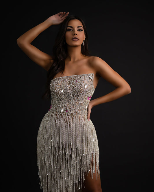 Silver Tassel Dress - Front View