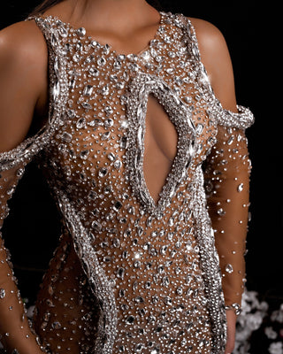 Close-Up of Silver Dress Featuring Snake and Crystal Embellishments