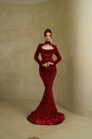 Elegant High Neck Long Dress with Stylish Design